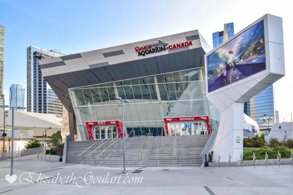 Apartment Luxury Lakefront Condo+Free Parking+Pool+Gym+Patio Toronto